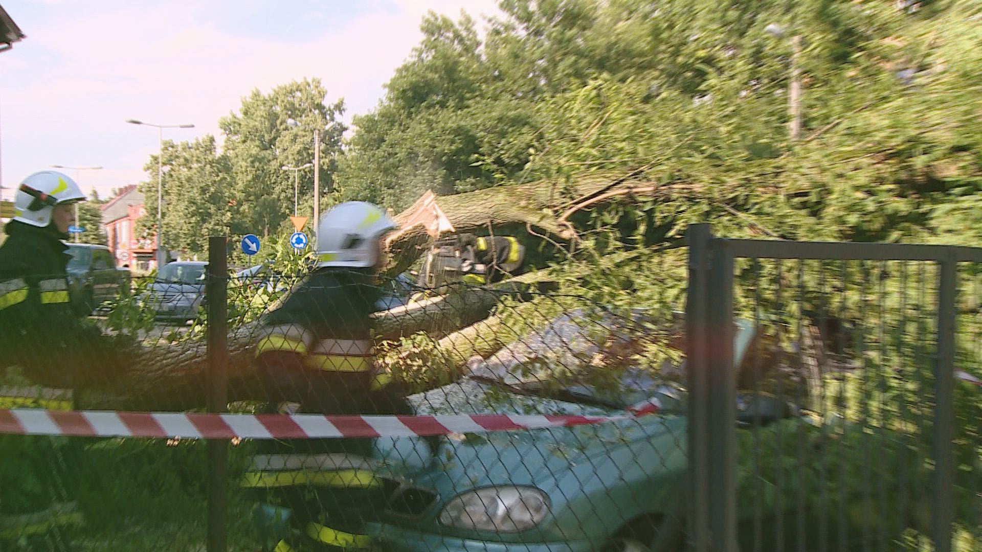 Drzewo runęło na samochód ebelchatow.pl wiadomości