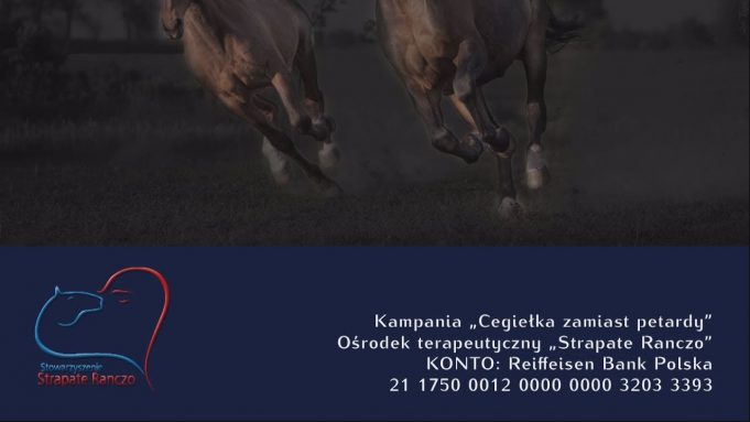 Zamiast petardy – cegiełka