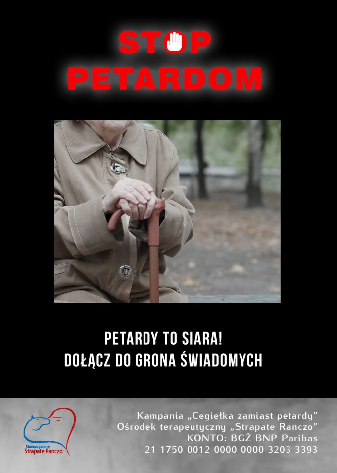 Fajerwerki – koszmar osób cierpiących na autyzm, „Cegiełka zamiast petardy”