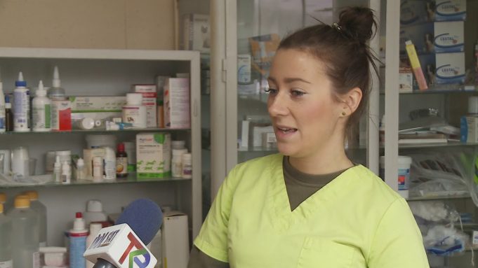 Zwierzęta boją się huku