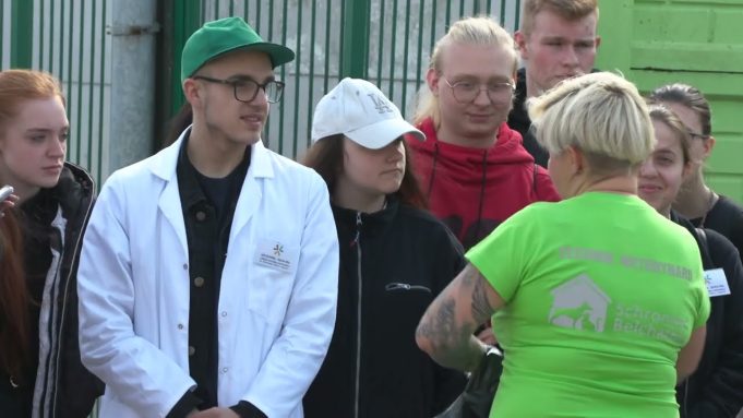 Jak wygląda praca w gabinecie weterynaryjnym?