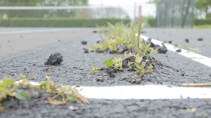 Nowe boiska z popękanym asfaltem