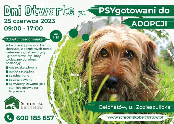 „PSYgotowane do adopcji”