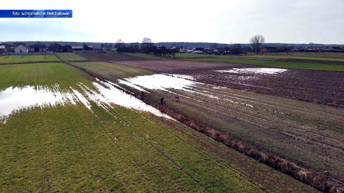 Dron na potrzeby schroniska