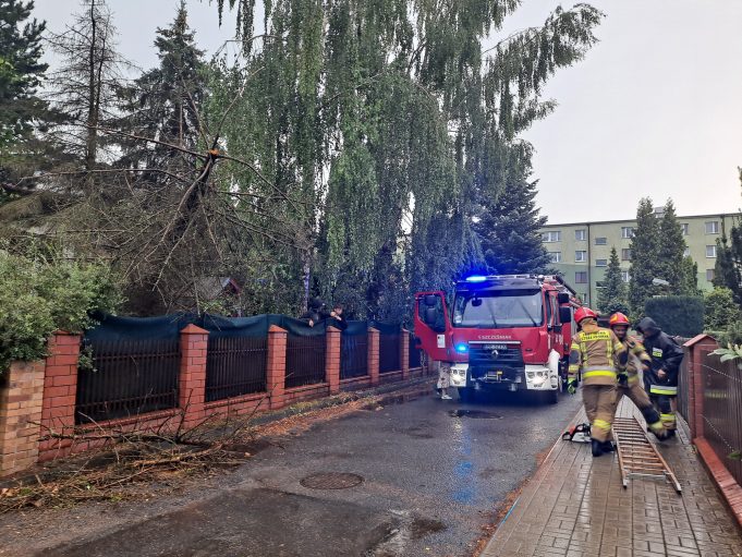 Burza powodem wielu interwencji. Pożary po uderzeniu pioruna – straż szacuje straty