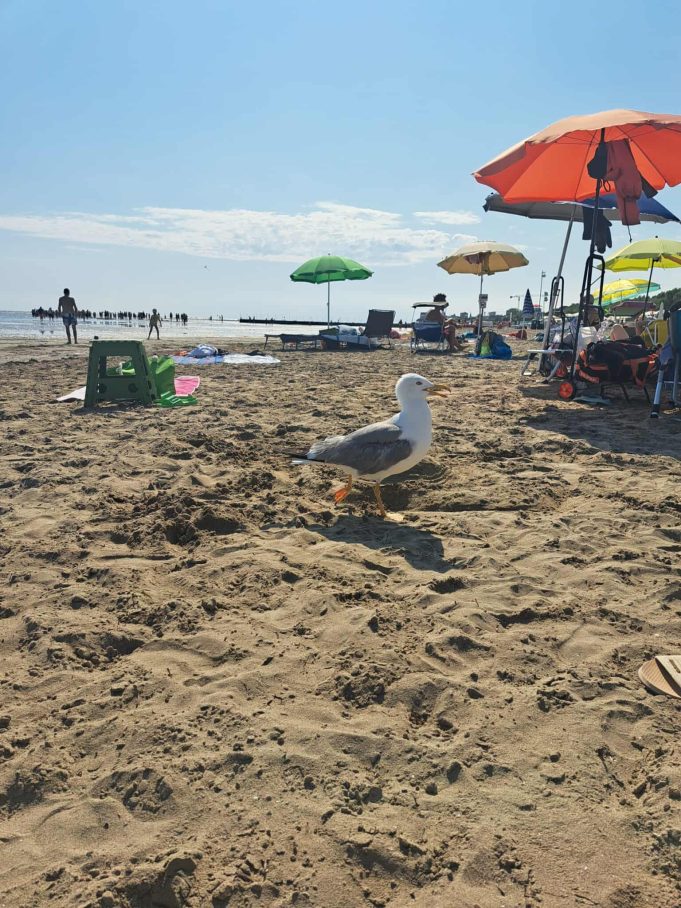 Chroń skórę przed słońcem – apeluje bełchatowski sanepid