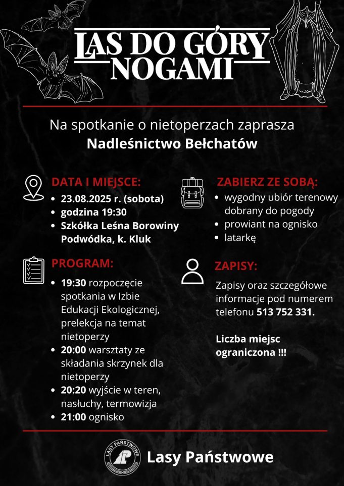 Nadleśnictwo Bełchatów zaprasza na spotkanie z nietoperzami