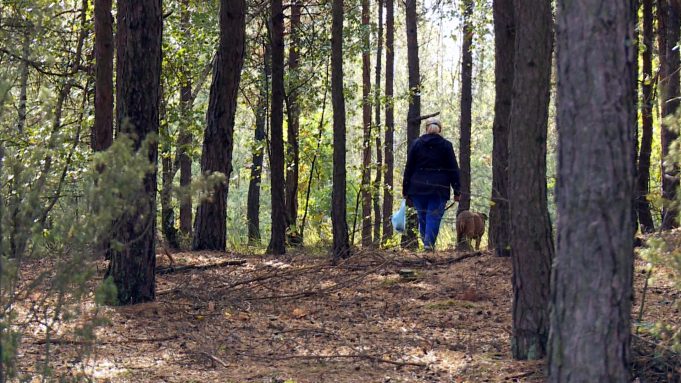 Las kusi zapachem i jagodami