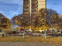 Ostrzeżenie meteorologiczne
