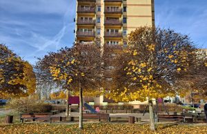 Ostrzeżenie meteorologiczne