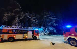 Powalone drzewa i uszkodzone linie energetyczne