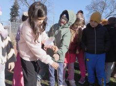 Najpierw ślubowali, potem sadzili