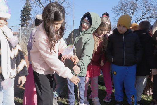 Najpierw ślubowali, potem sadzili