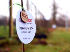 Jubileuszowa akcja sadzenia drzew