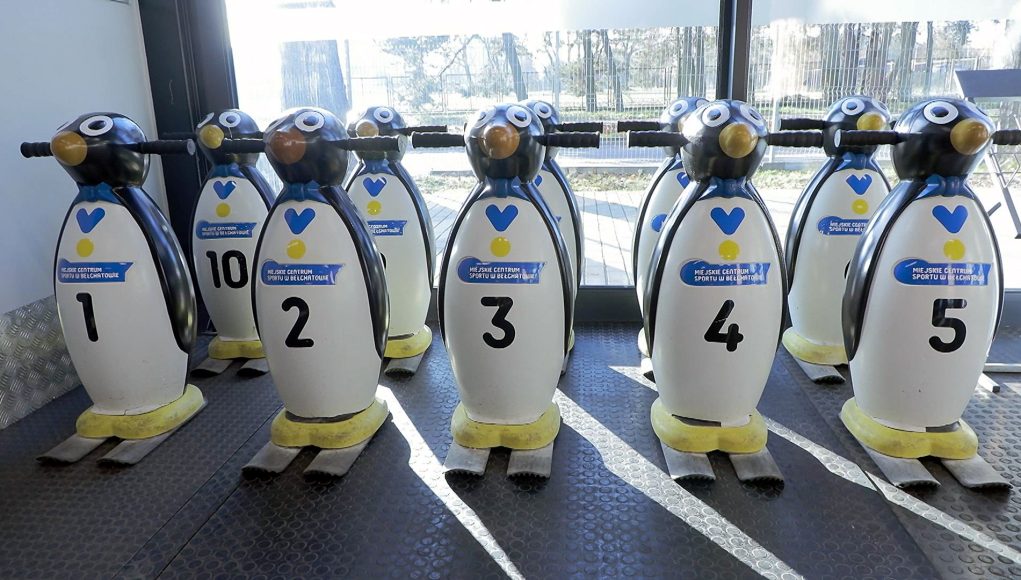 Nieśmiali na lodzie? Pomogą miejskie pingwiny