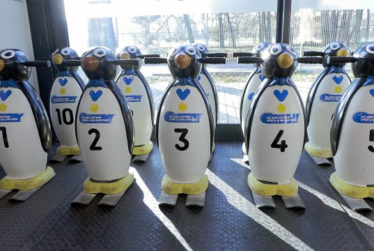 Nieśmiali na lodzie? Pomogą miejskie pingwiny