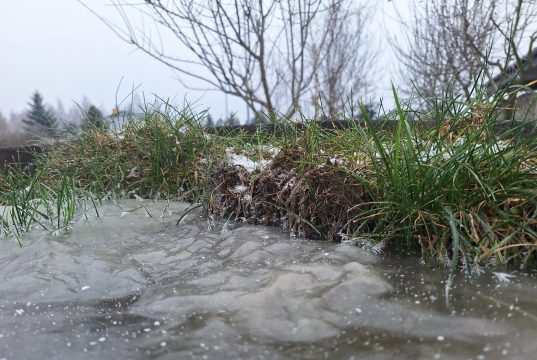 Ostrzeżenie pierwszego stopnia o oblodzeniu