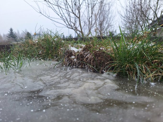 pogoda, mróz, IMGW 1