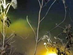 Brunatna substancja w rzece. Służby w stanie gotowości