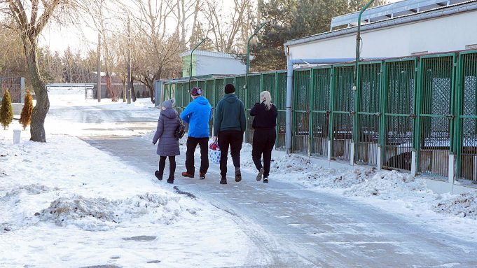 Telefony dzwoniły nawet w przerwie. Adopcje wznowione