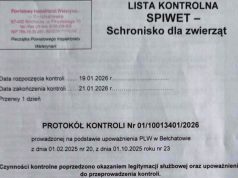 Bełchatowskie schronisko pod lupą Inspekcji Weterynaryjnej