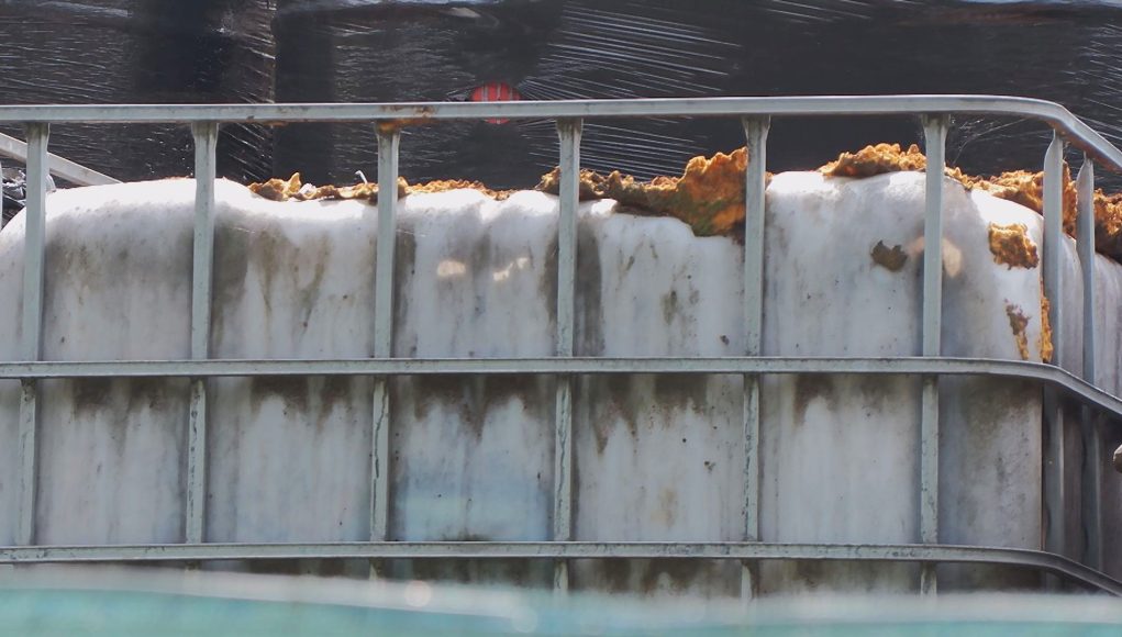 Umowa podpisana, kiedy wywóz?