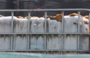 Umowa podpisana, kiedy wywóz?