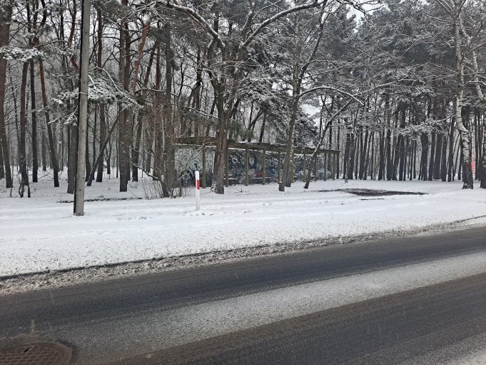 pogoda IMGW mróz śnieg 2026