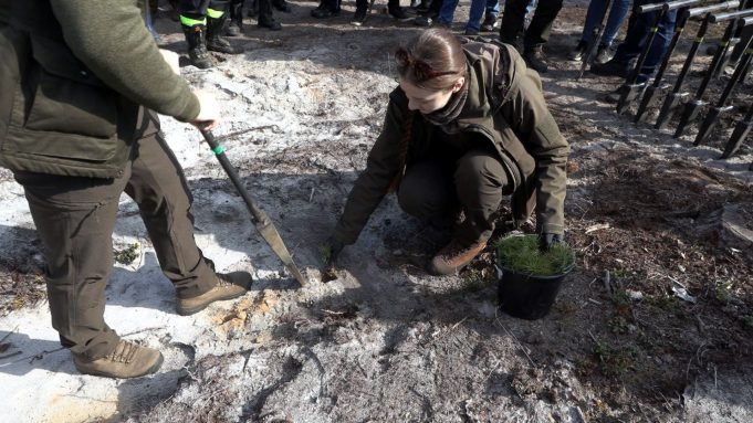 Bełchatowskie Nadleśnictwo obchodzi pół wieku działalności