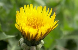 Powolny start lepszy dla przyrody