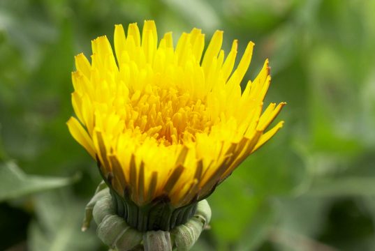 Powolny start lepszy dla przyrody