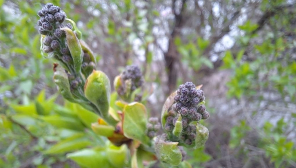 Przed nami kolejna mroźna noc