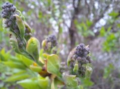 Przed nami kolejna mroźna noc