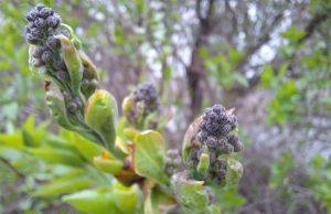 Przed nami kolejna mroźna noc