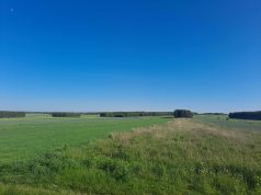Ostrzeżenie meteorologiczne