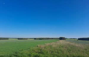 Ostrzeżenie meteorologiczne