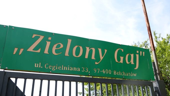 Zielony Gaj