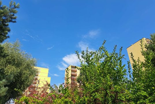 Komunikat meteorologiczny