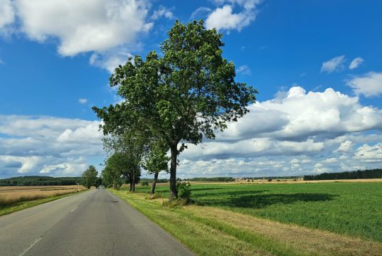 Ostrzeżenie meteorologiczne