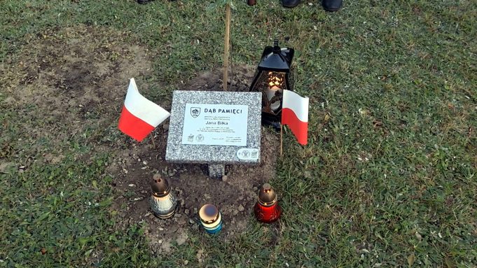 Dąb Pamięci