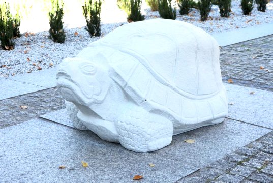 Wróciły na Plac Narutowicza